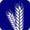 Quality Assurance International 